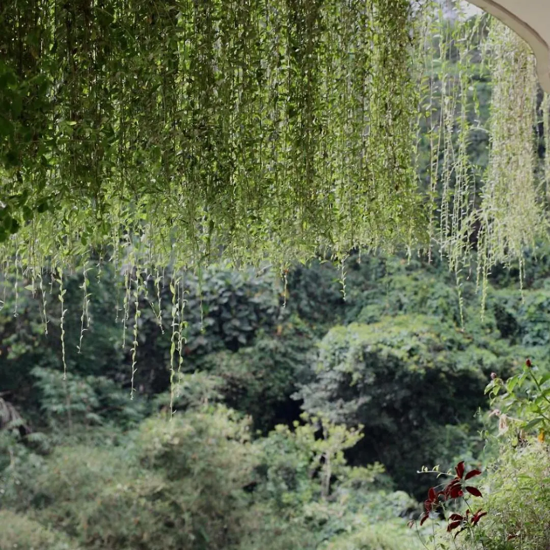 Kenran Resort Ubud By Soscomma Ubud (Bali)